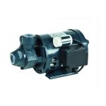 پمپ محیطی لوارا LOWARA مدل PM 60